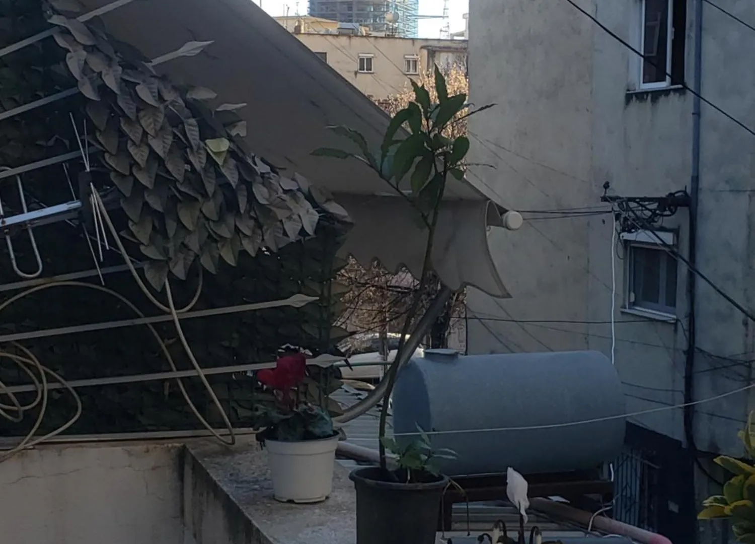 Hostel Oakland Tirana Albania